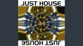 Analog House