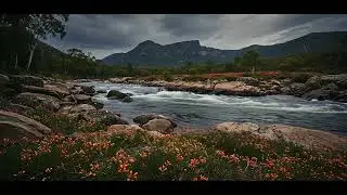 Soothing River Flow Along Rocky Path with Subtle Water Sounds for Sleep and Focus