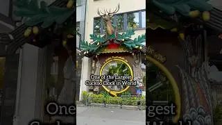 One of the Largest Cuckoo Clock in the World 🌍is in Wiesbaden, Germany 🇩🇪