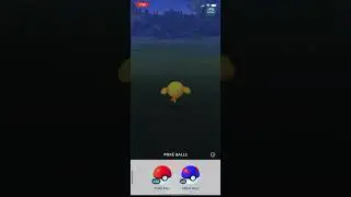 Shiny shinx Pok&eacute;mon go