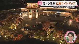 宮城・日本三景松島で様々な紅葉イベント　日本酒とライトアップで紅葉を愛でる