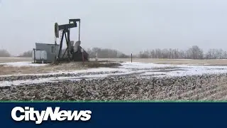 Premier Smith defends actions on COVID and oil wells