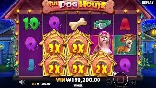 dog house replay хожил #1