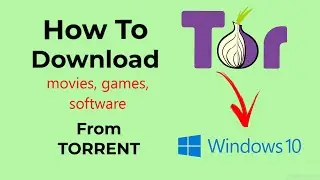 How to download movies from torrent?