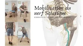 Neurodynamique du NERF SCIATIQUE l mobilisation Neurale par glissement