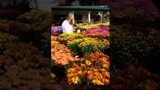 Greenstreet Gardens Fall Festival, Lothian, Maryland