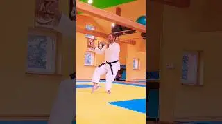 Unsu &ndash; Shotokan Karate Kata | Slow Motion Part 1/2 🥋 #shotokankarate #karatekata #shotokansensei