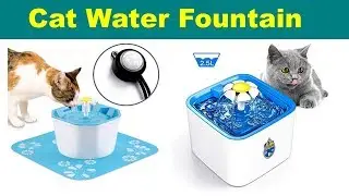 Top 18 Cat Water Fountain of 2019 |
