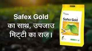 Safex Gold/ Organic Granules: Amino acid+Humic acid+Seaweed/ Powerful Soil Fertilizer