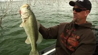Flippin' Zoom Brush Hog & Lizard with Marty Stone at Falcon - Tackle Warehouse VLOG #188