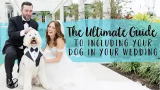 The ULTIMATE Guide To Including Your Dog In Your Wedding! | FairyTail Pet Care