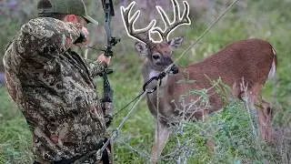 We Used an Early Cold Front and Doubled AGAIN on Public Land in 1 DAY!