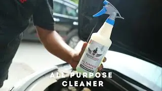 Coating Daddy | All Purpose Cleaner