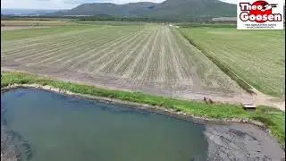 109 ha cash crop and pecan irrigation farm at Groblersdal Marble Hall