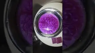 Wax Pool In The Scent Cal-Pol Beautiful color 😍