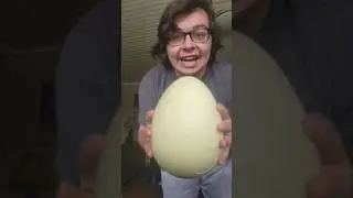 BIG ASS EGG!