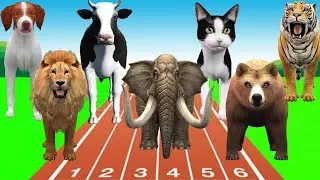 Animals Running Race with Elephant,Cow, Camel,Horse, Tiger,