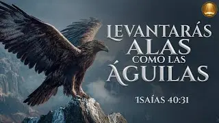 Los que Esperan en Dios Tendrán Nuevas Fuerzas | Alabanza Inspirada en Isaías 40:31