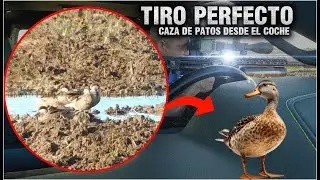 🦆 CAZA de PATOS con FX IMPACT M3: &iexcl;Precisi&oacute;n Extrema en Rep&uacute;blica Dominicana! 🇩🇴
