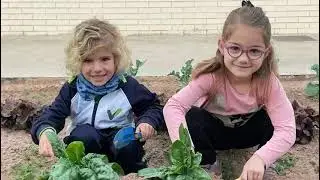 HORT VEDRUNA: PRIMERA COLLITA I ESMORZAR
