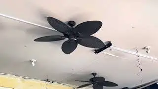 Honeywell Palm Island 52