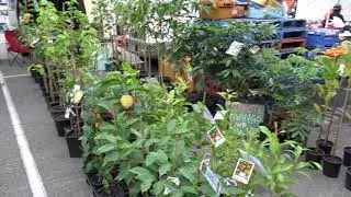 Canning Vale Sunday market 7am-1pm open every Sunday