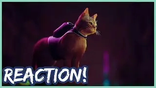 STRAY Reveal Trailer Reaction