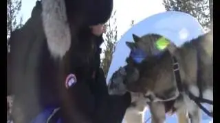 Experience Hetta Huskies