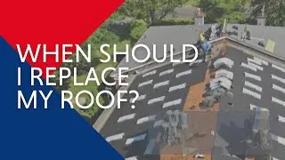 When Should I Replace My Roof?- Roof Replacement, Roof Lifespan, Roof Damage, and More!