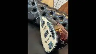 Elektro Bağlama  Berivanim 2024