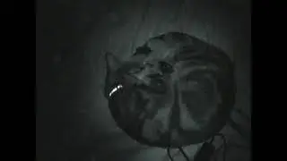 ransom ha - frostbite