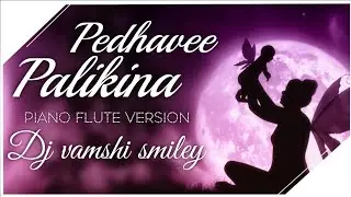 PEDHAVE PALIKINA MATALLONE SONG PIANO FLUTE VERSION REMIX BY DJ VAMSHI SMILEY