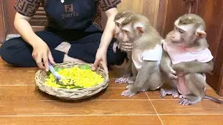 Mom Made SpeciaI Steam Corns For The Trio’s Breakfast