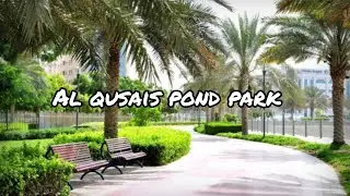 What's So Special About Al Qusais Pond Park in Dubai?