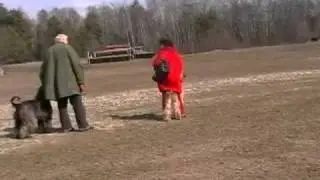 27.03.2011 trening Wesoła.avi