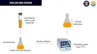 Eksplorasi Gen BcsA dari Bakteri Lokal Sebagai Inovasi System Produksi Bioselulosa Efisien