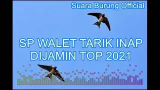 SP WALET TARIK INAP DIJAMIN TOP