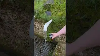 Drinking water from a roadside spring in Woodstock,Maine. #maine  #tourism #water #spring #roadside
