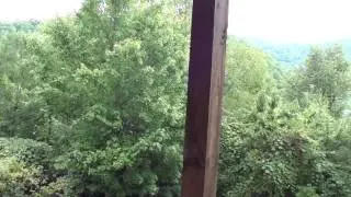 3 Bear Lodge