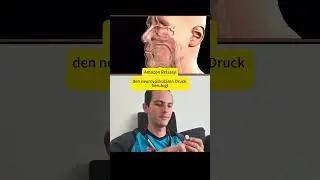2 in 1 Rotlicht Tinnitus Kopfh&ouml;rer，Tinnitus Ohrst&ouml;psel f&uuml;r Nase und Ohren