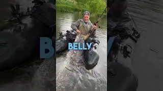 Imponujący sum potworny 2,5 m od bellyboat #jakubvagner #fishing #catfish #bellyboat #rybařen&iacute; #sumec