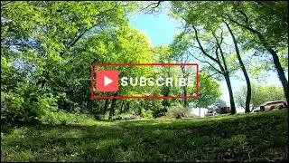 monster dead ash tree removals (finale)