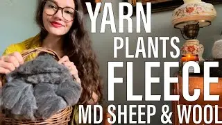 MD Sheep and Wool Festival 🐏 Raw Fleece 🐑 Yarn Haul 🧶 & Garden Tour 🌿🌱🌿