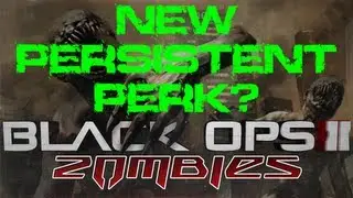 New Die Rise Hidden Persistent Perk? - Black Ops 2 Zombies @NGTZombies