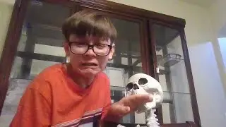 My Pet Skeleton