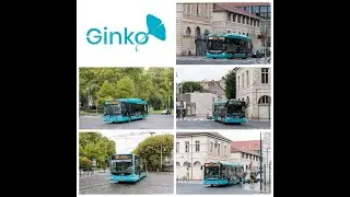 réseau ginko #1