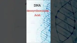 Full form of DNA Or RNA #viral #Yu EDUCATION
