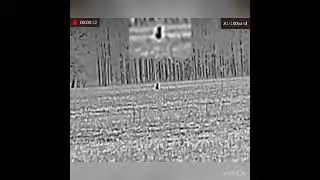 Predator Outlaws Thermal Coyote Hunt 11/08/23 #mfk #foxpro #agm #agmrattler #predatorhunting