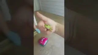 he's my pet