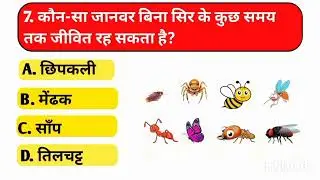 🔥 Top 10 GK Questions | Aaj Ka GK Test | Dimag Hila Dene Wale Sawal 🤯